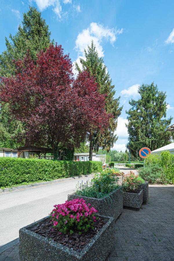 Camping Au Pays De Hanau Dossenheim-sur-Zinsel Buitenkant foto