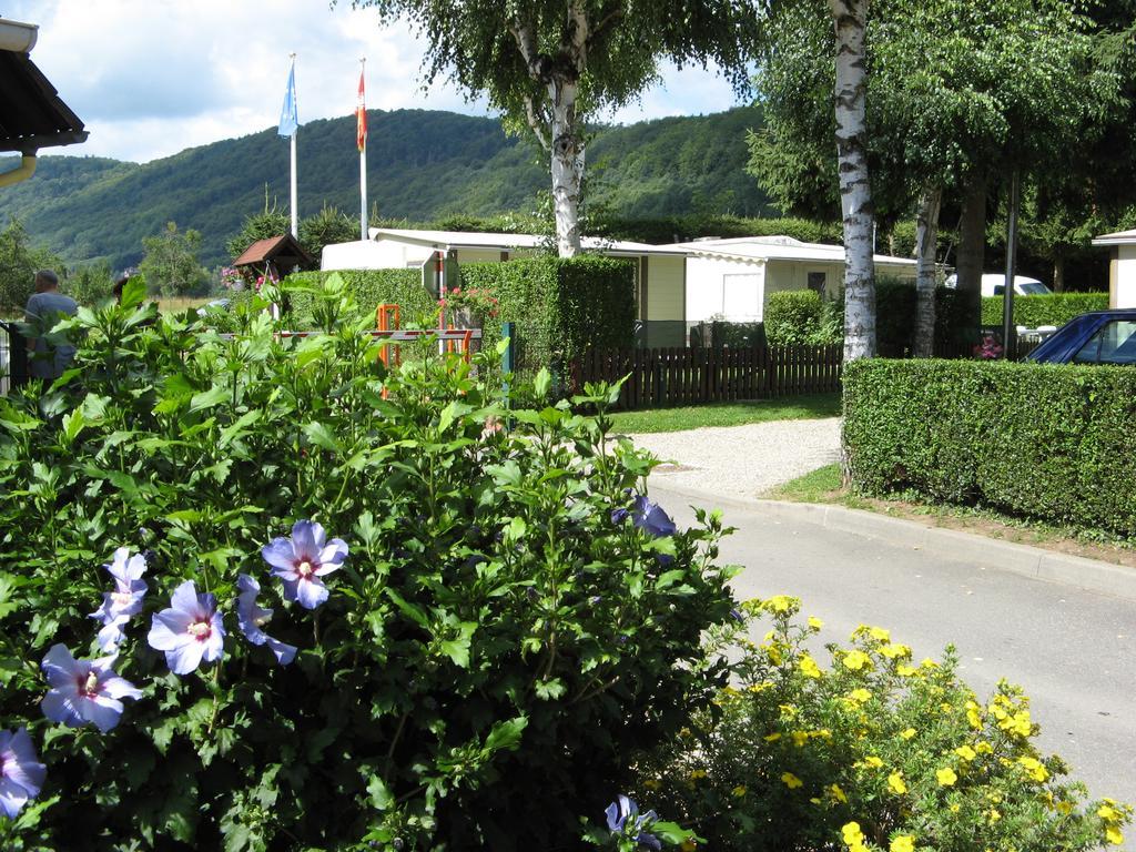 Camping Au Pays De Hanau Hotel Dossenheim-sur-Zinsel Buitenkant foto